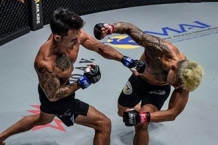 what is mixed martial arts