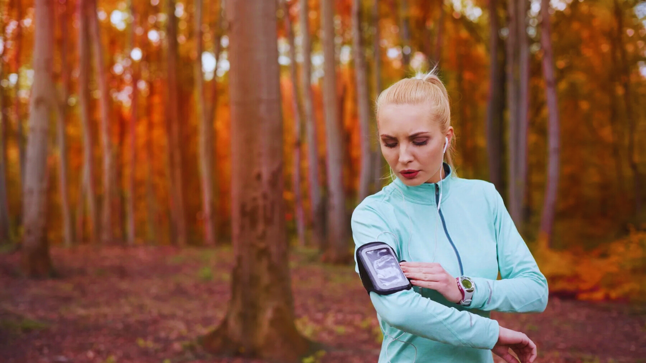 using a pedometer can promote a physically active lifestyle.